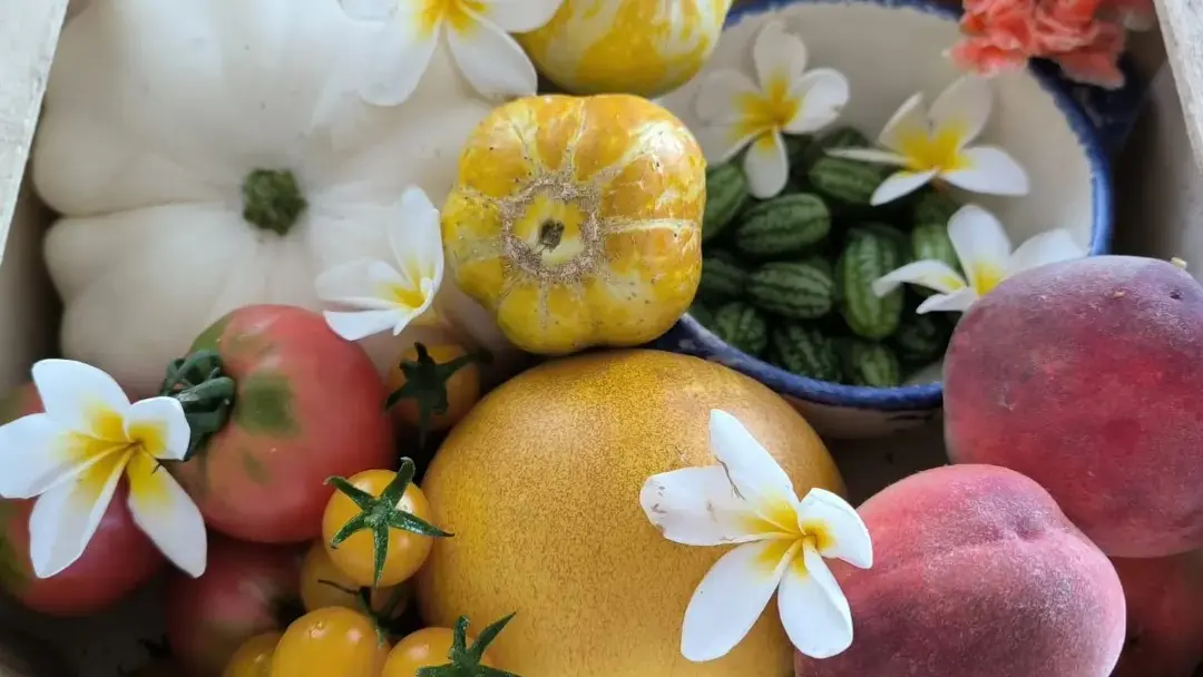 454819874_1108759457556749_869731590366215072_n