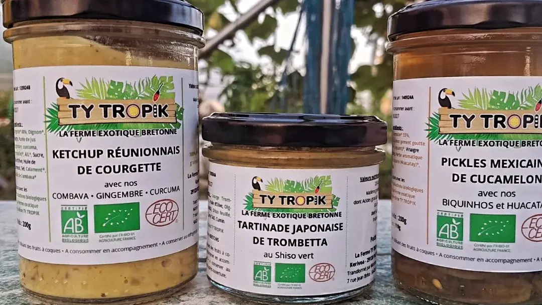 Maraîcher Ty Tropic - Plomeur - Pays Bigouden - Bigoudenjoy