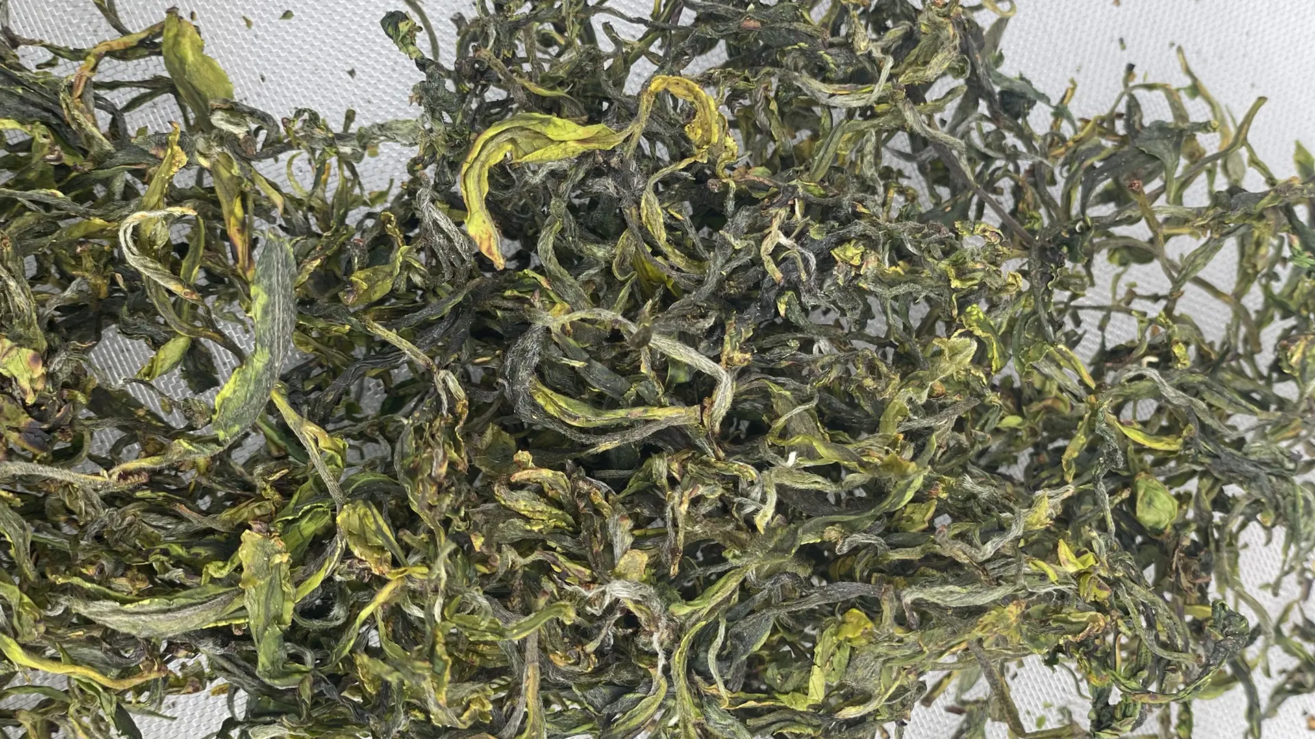 Maison du thé breton - Quimper - Bigoudenjoy