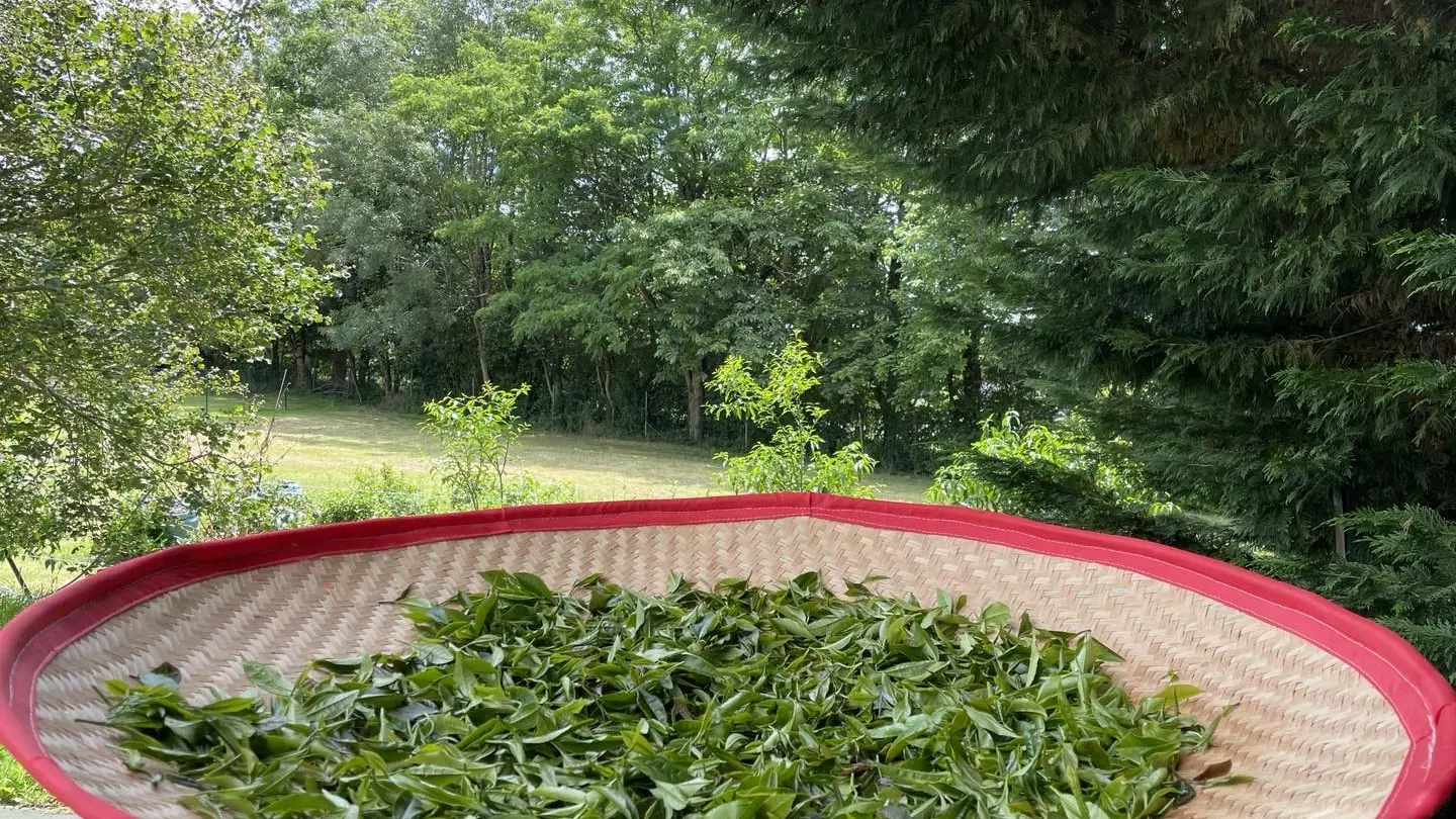 Maison du thé breton - Quimper - Bigoudenjoy