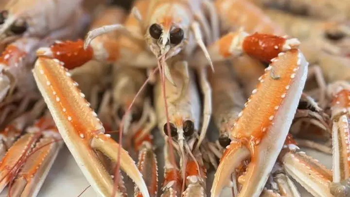 Restaurant Le Bistrot de famille - Penmarch - Pays Bigouden - Bigoudenjoy