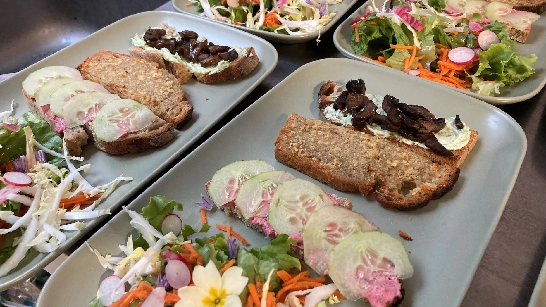 FLEURS DE LIN ST BRIEUXC DES IFFS