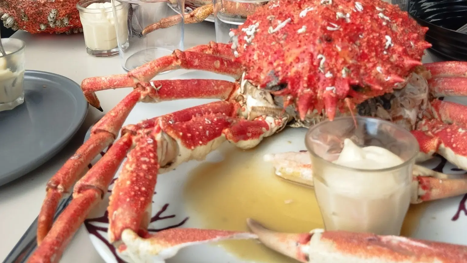 514350697_24449706814624056_6283947344365828848_n