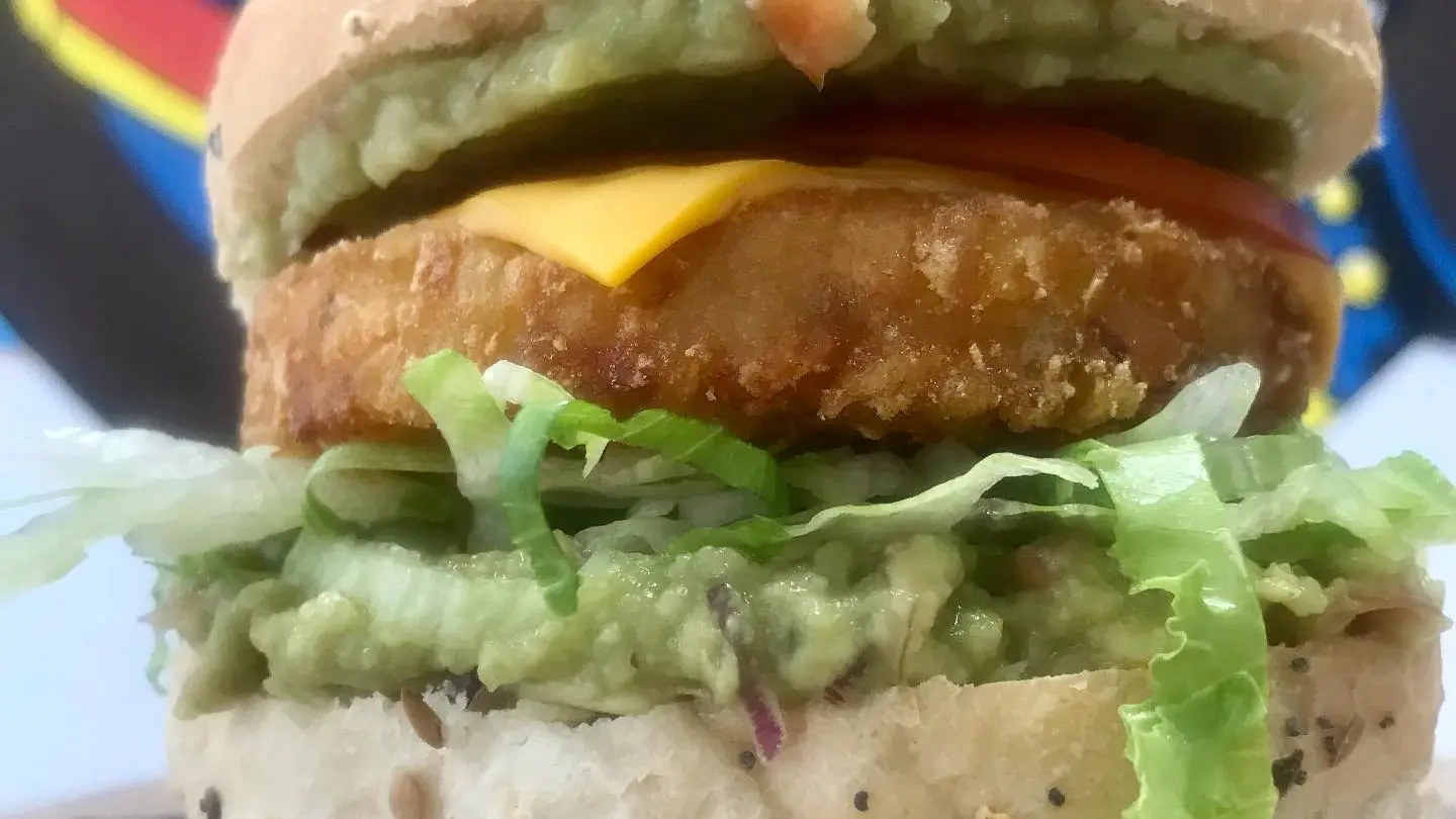 547830593_17979302882875861_4961888479222738283_n