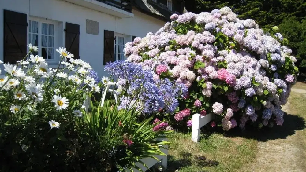 La Caravelle - Guilvinec - Pays bigouden