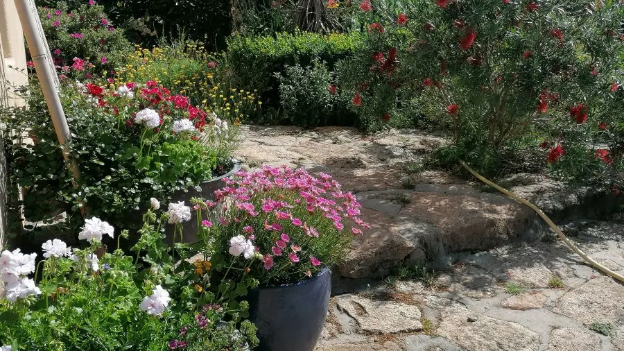 La tour du bois dormant - Plozevet - Pays bigouden