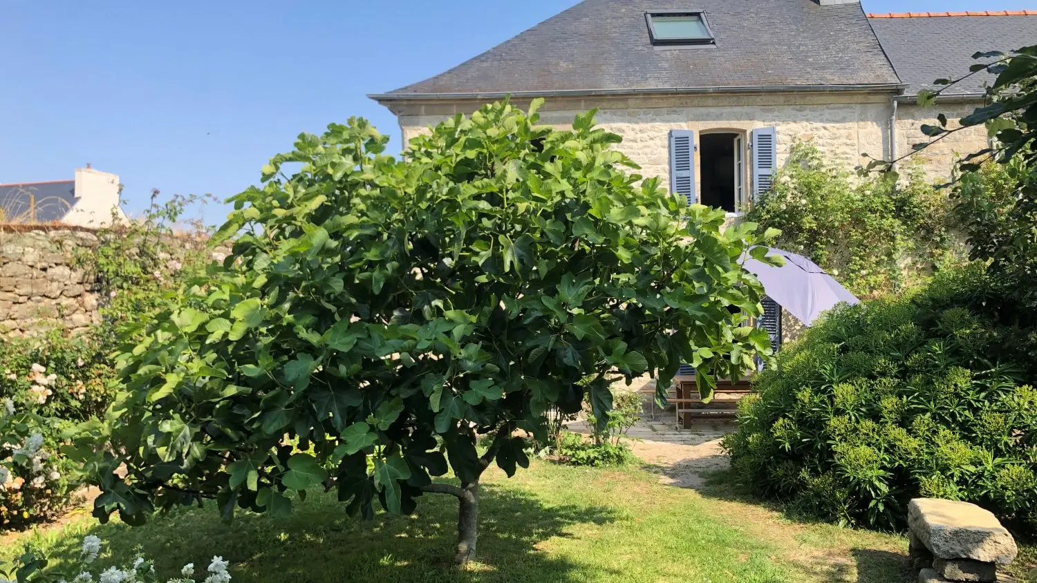 Location Le Presbytère - M. GARNIER Pierre - Treffiagat - Pays Bigouden