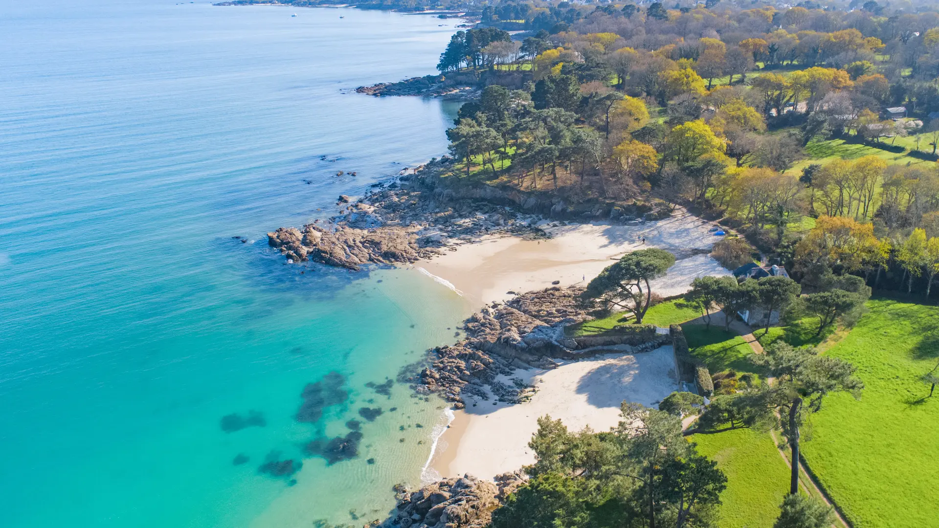 75 Riviera 2019 HD-min