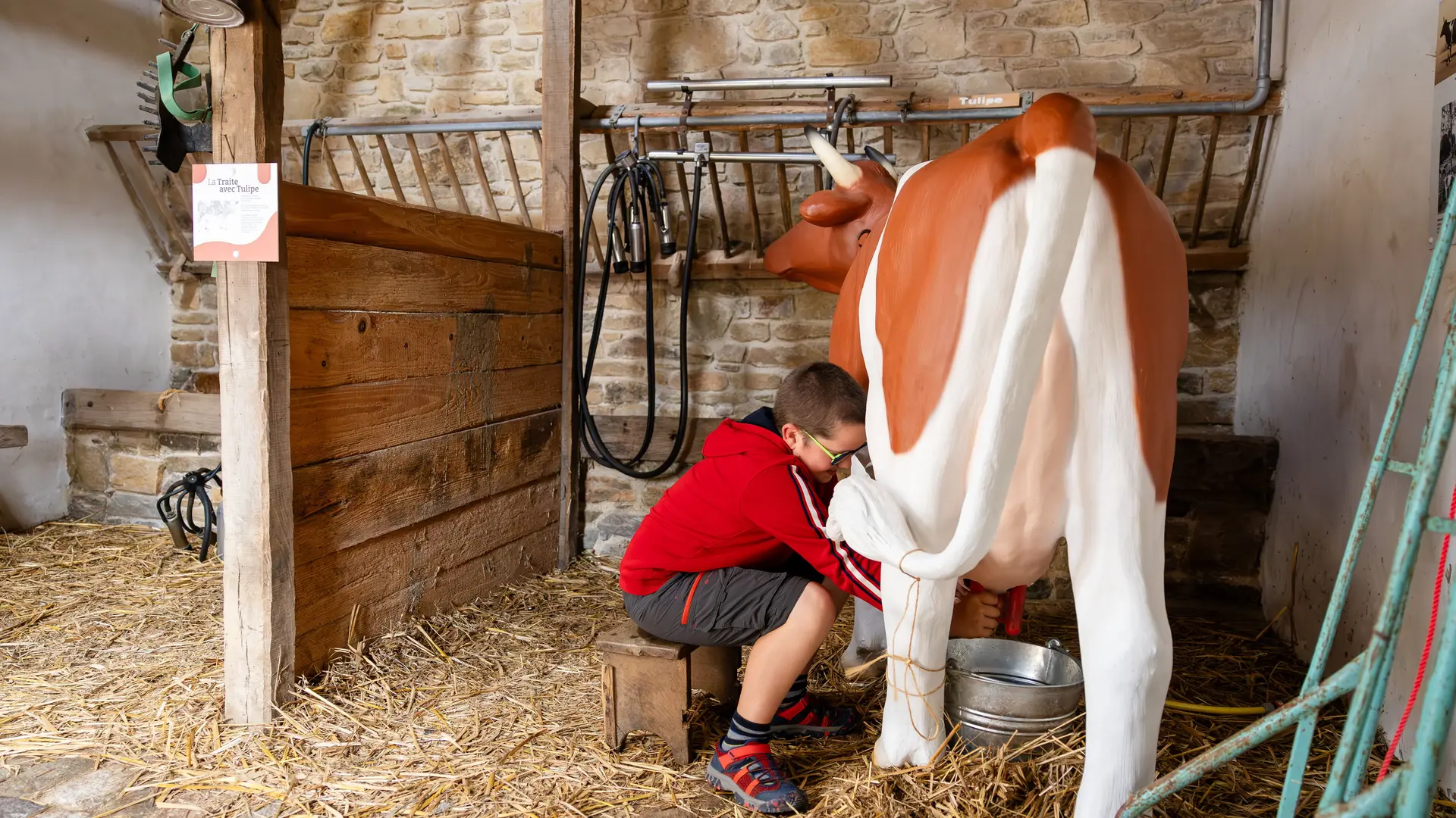 9 Kerdreger 2025 ©Thomas Mahieux