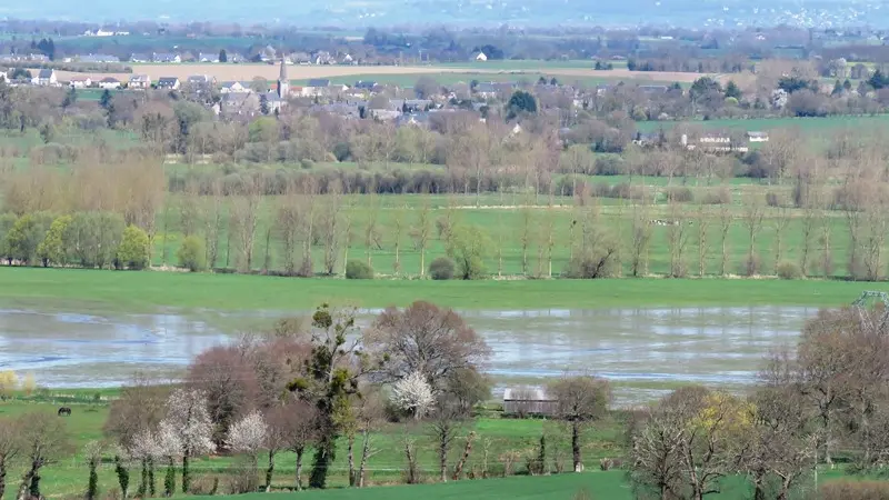 Marais de Sougeal vu du clocher