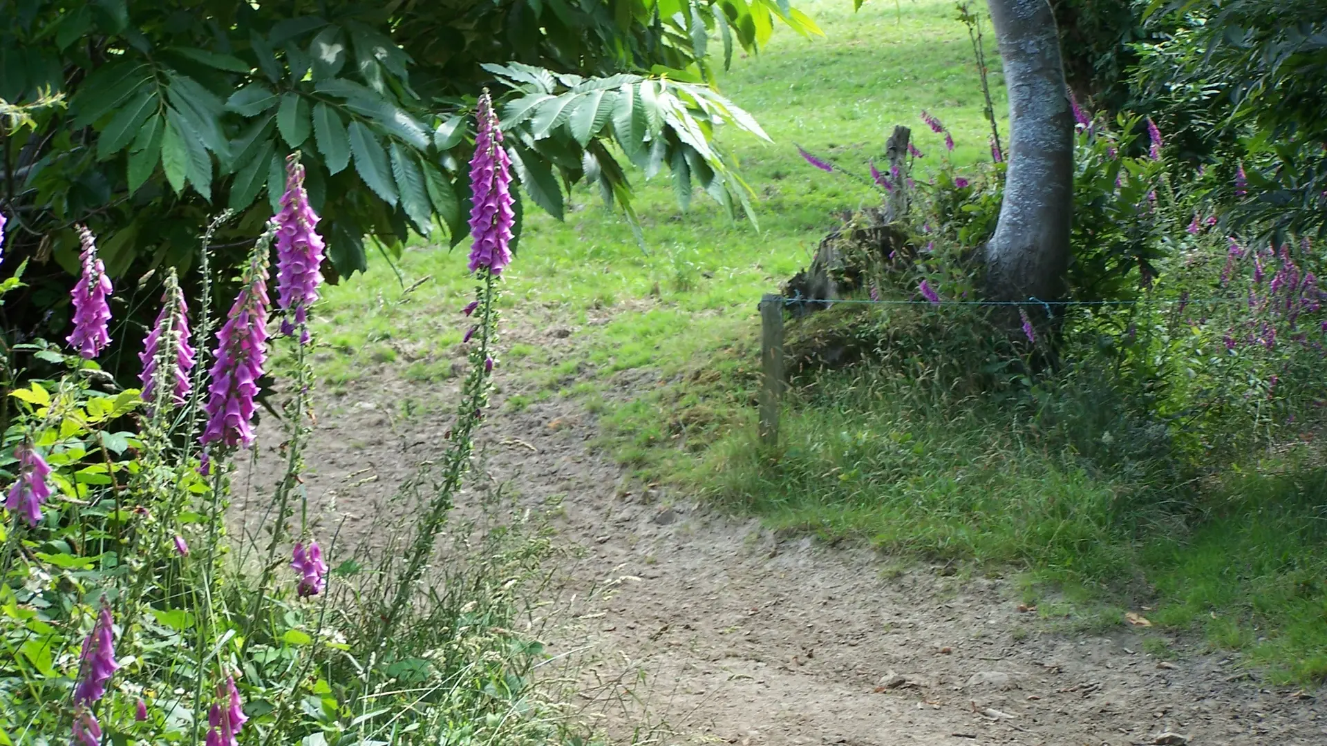 ©CdC Pays de Dol BMSM Vieux Viel - Circuit panoramique