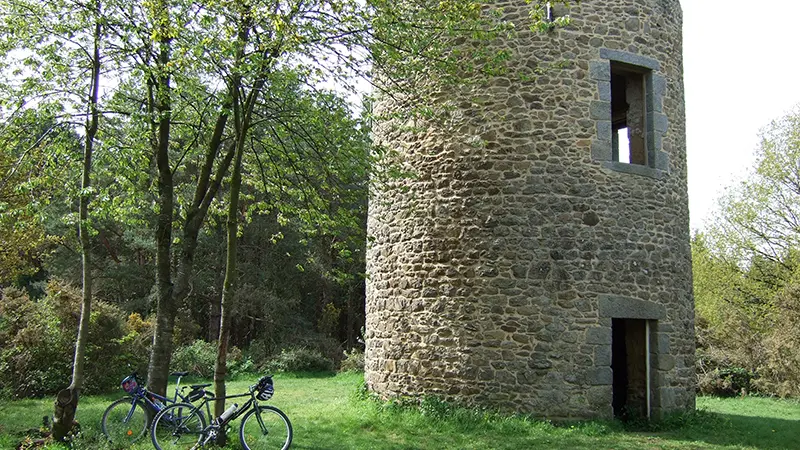 ©A Cocherie Moulin de Rochetain