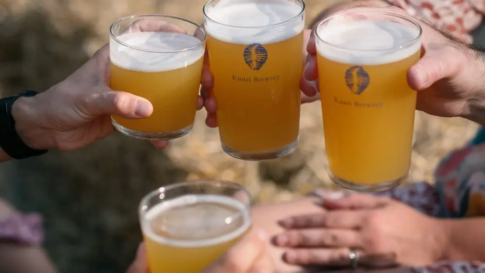 Brasserie artisanale Kauri Brewery - Plovan - Pays bigouden