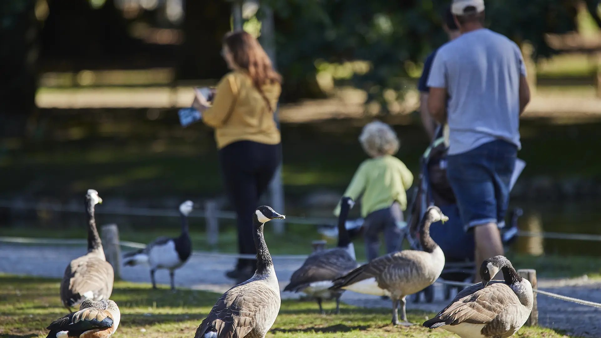 ©L.RANNOU_FAMILLE 2 BD