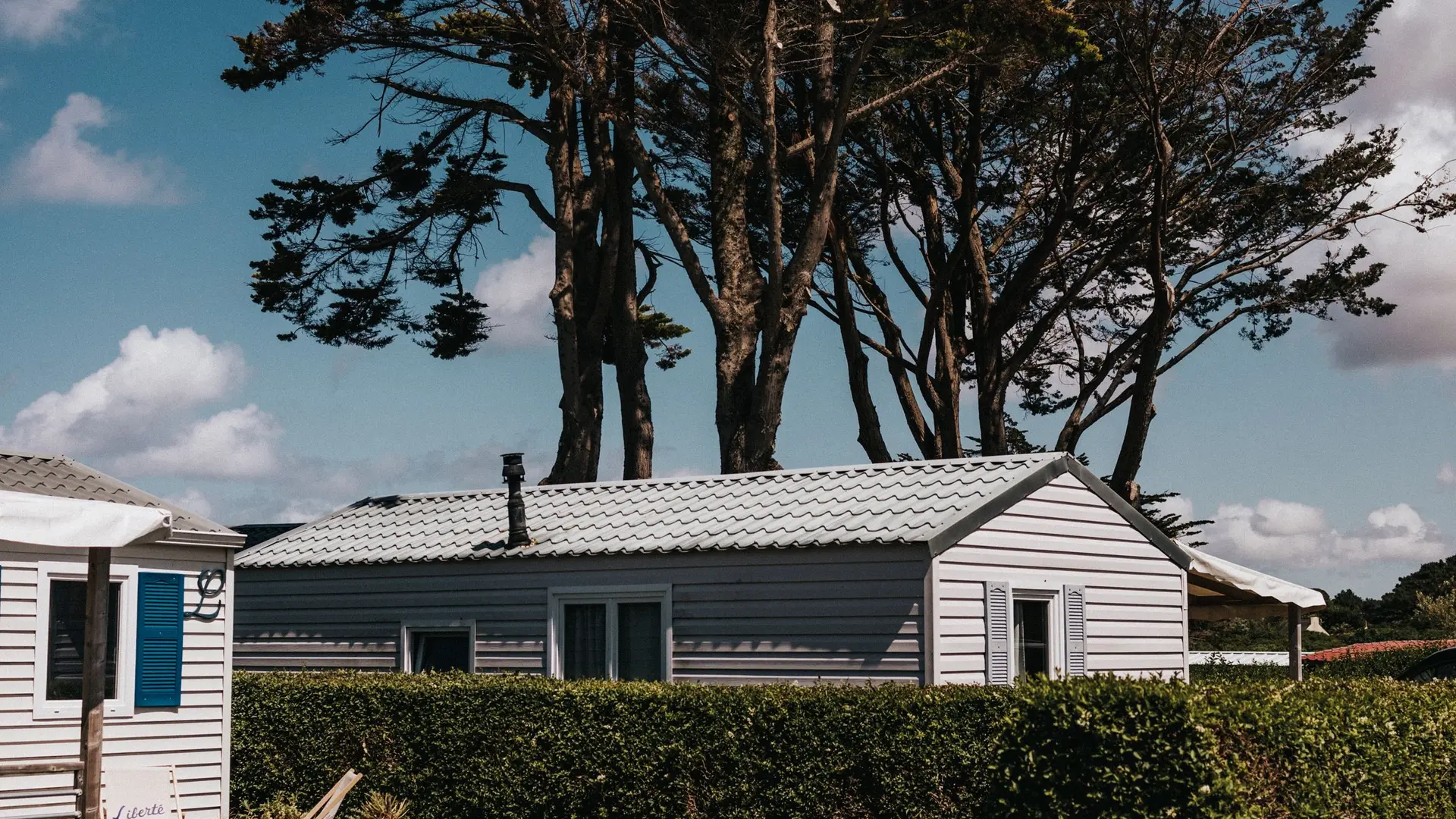 ©LaurenceRevol_LIBERTE-Landrellec_JUIN2_024-52