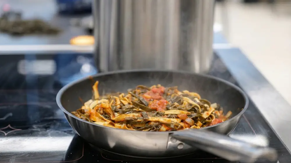 MaLO Blue horizons - Sea experiences - Guilvinec - Lesconil - Pays bigouden