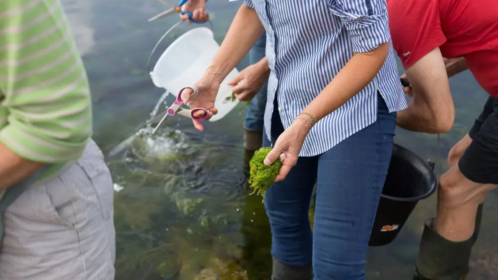 MaLO Blue horizons - Sea experiences - Guilvinec - Lesconil - Pays bigouden