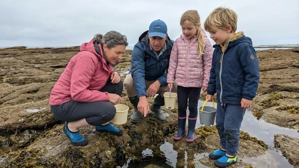 MaLO Blue horizons - Sea experiences - Guilvinec - Lesconil - Pays bigouden