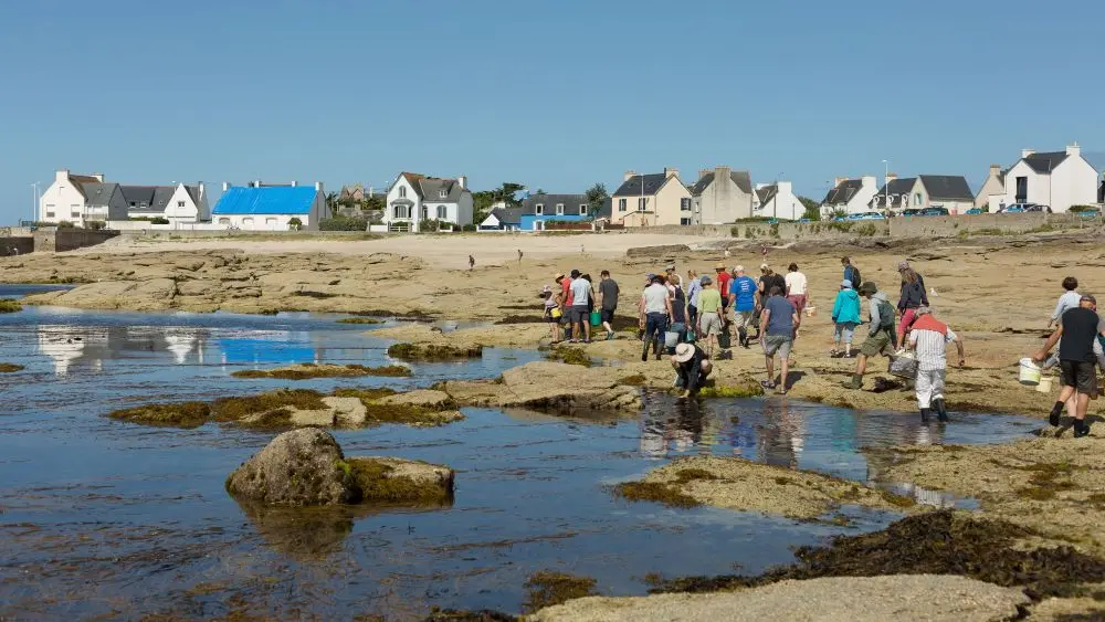 MaLO Blue horizons - Sea experiences - Guilvinec - Lesconil - Pays bigouden