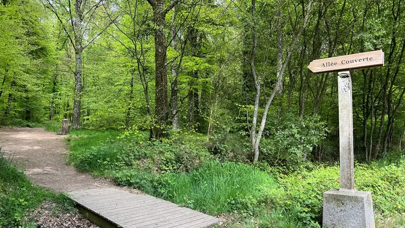 Départ allée couverte