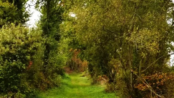 ©SMBMSM - sentier Epiniac