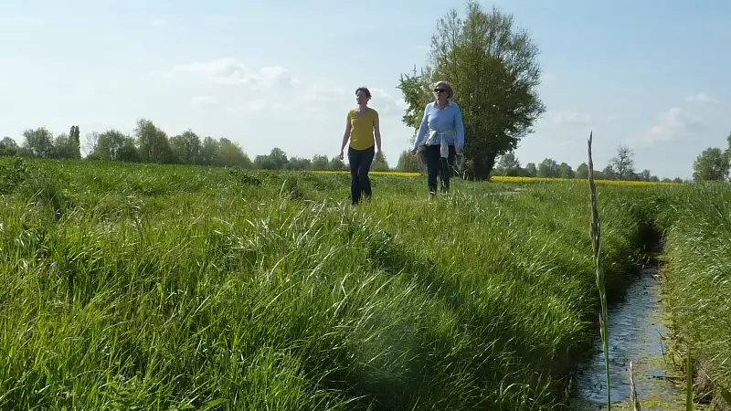 ©SMBMSM Marais blanc La Fresnais