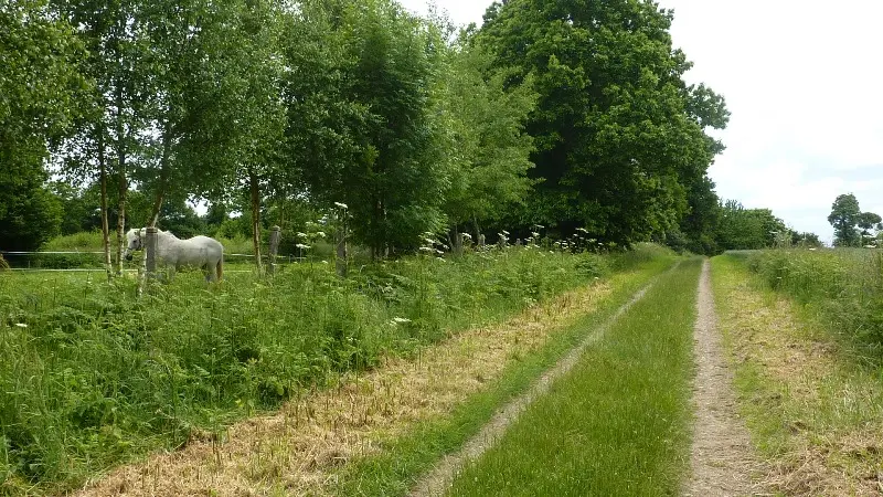 ©PIT SMBMSM - Campagne Québriac
