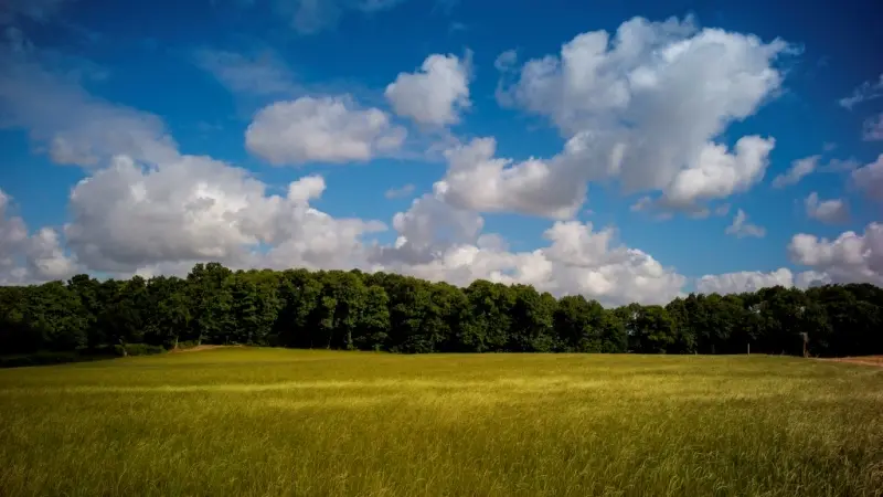 ©R Marics - Chemin Cardroc 2