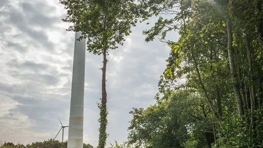 Eoliennes de Trémeheuc
