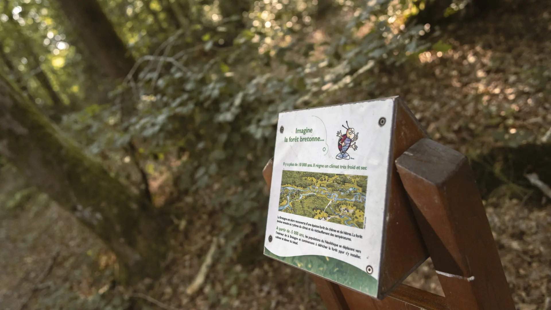 VitréCommunauté-ADT35-MathieuleGall (102)