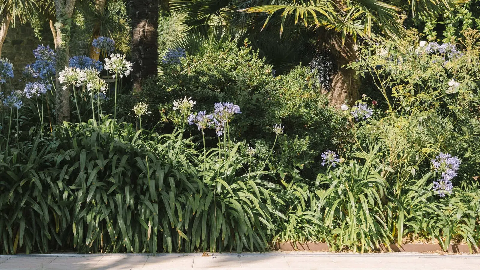 Piscine Aigue Marine
