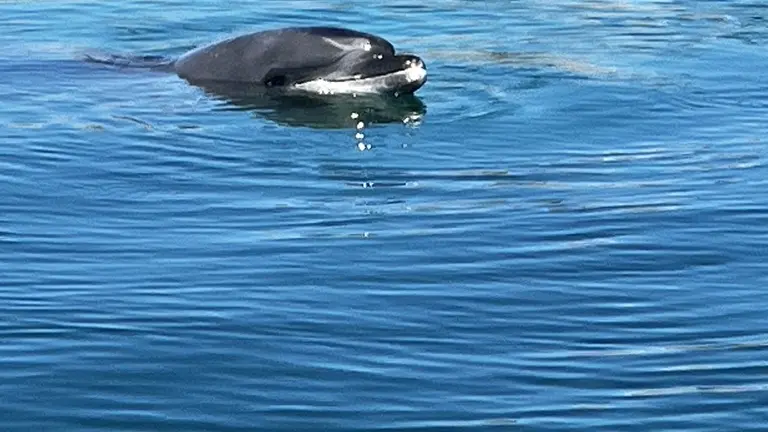 L'Echappée Nautique à Audierne