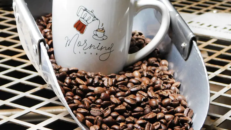 La brûlerie- Plozévet- Pays Bigouden