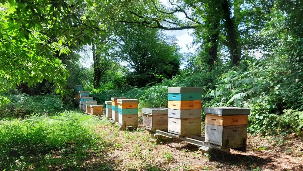 La miellerie du cheval de bois - Plomeur - Pays bigouden