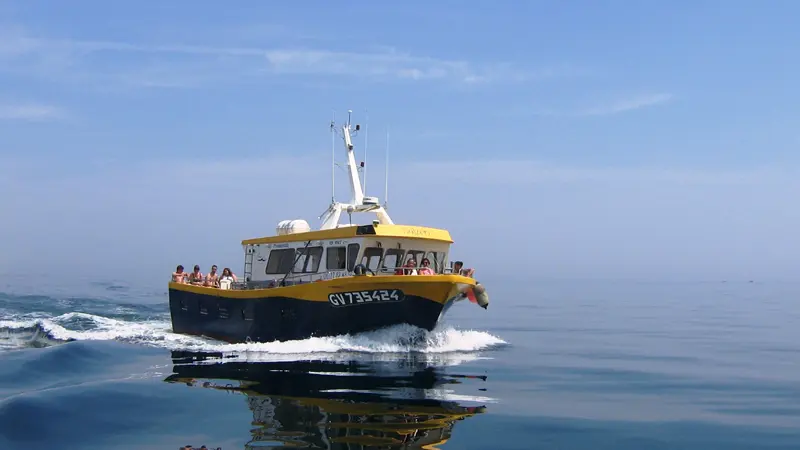 Promenade et pêche en mer Soizen - Guilvinec - Pays Bigouden - Bigoudenjoy