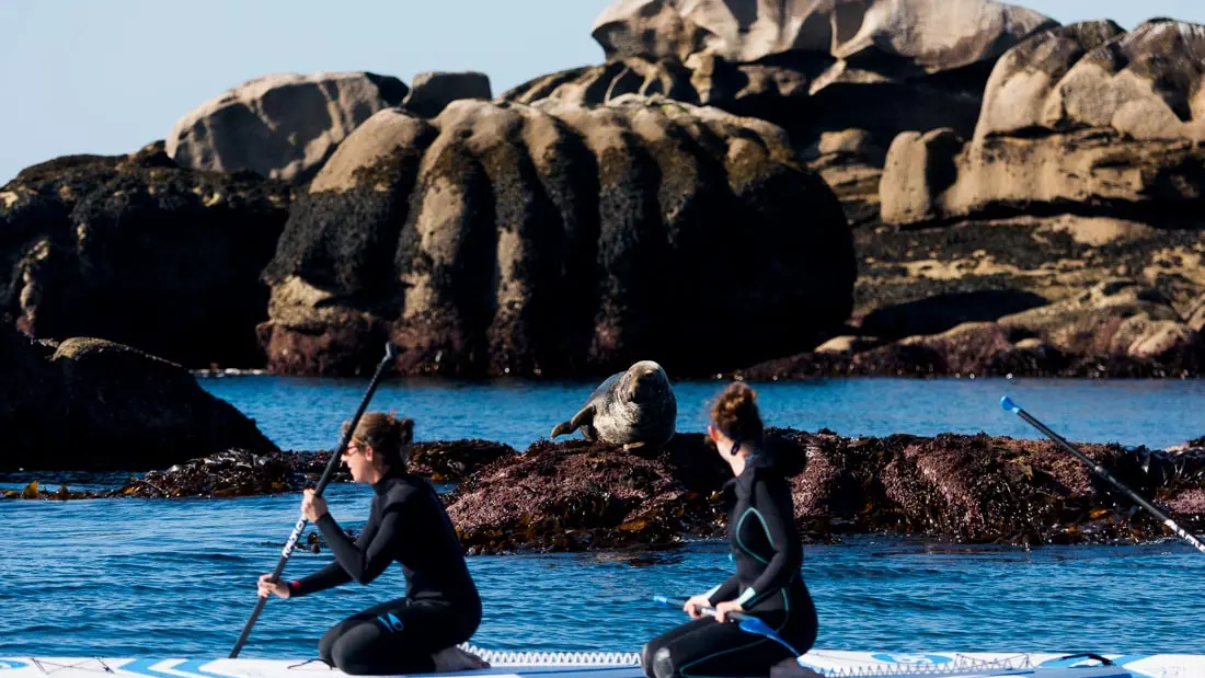 Les enfants de la côte