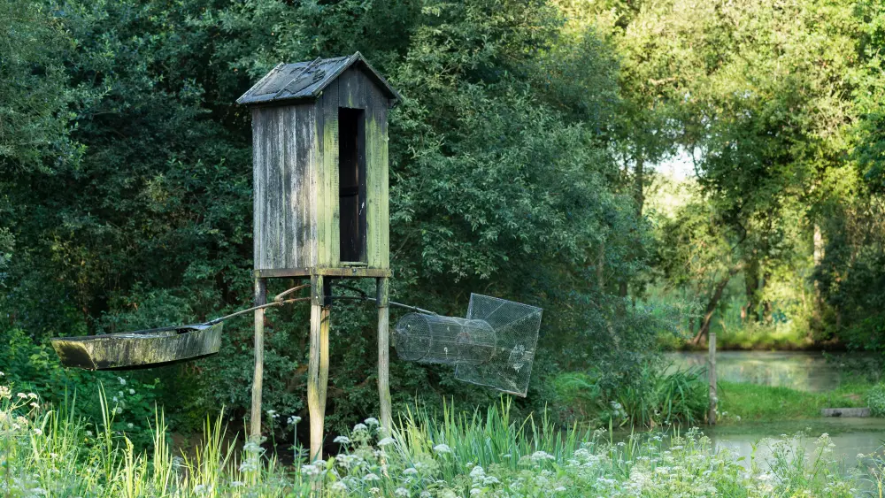 Le marais de Gannedel