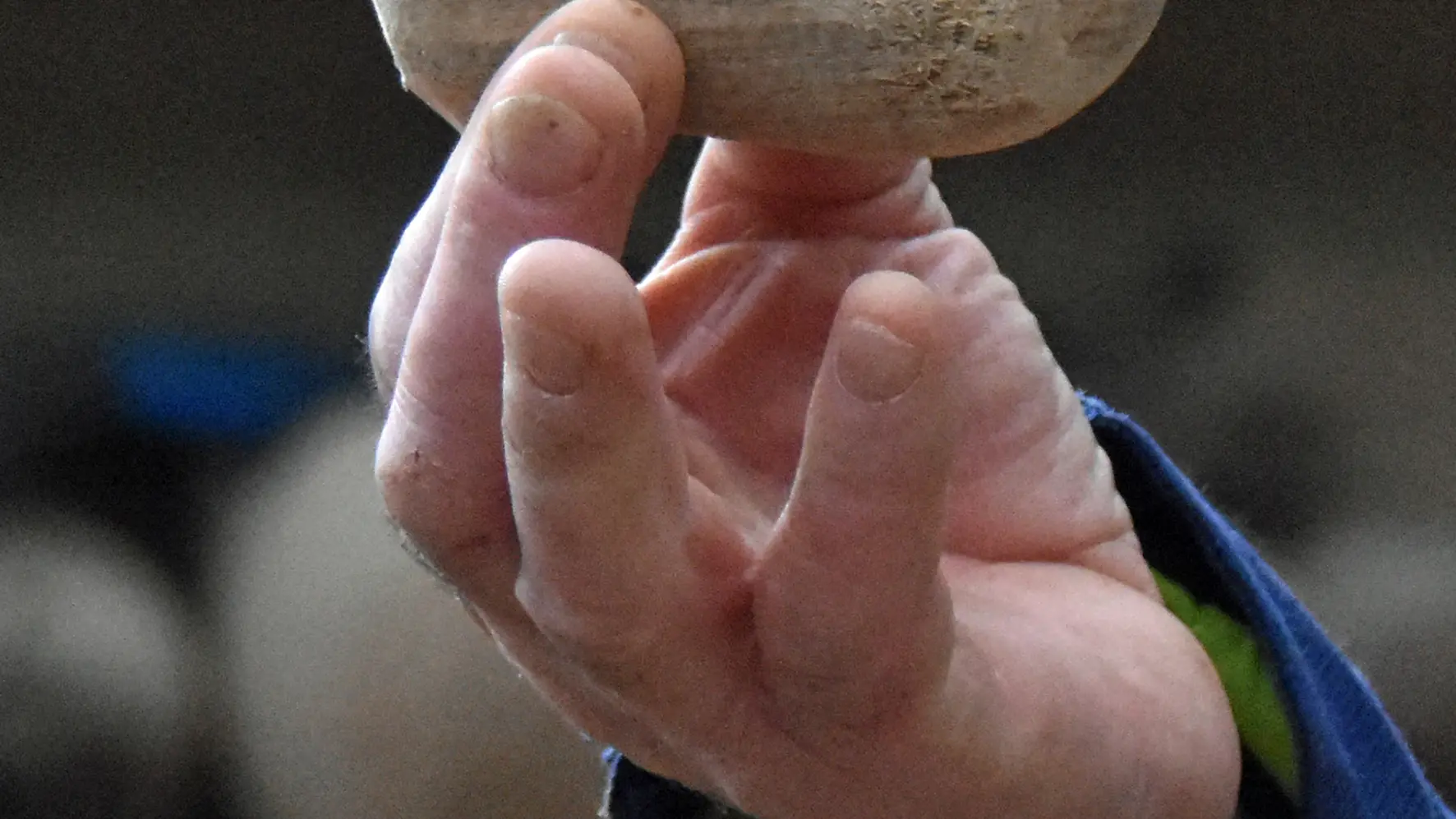 10 Kerdreger 2025 ©Kerdreger