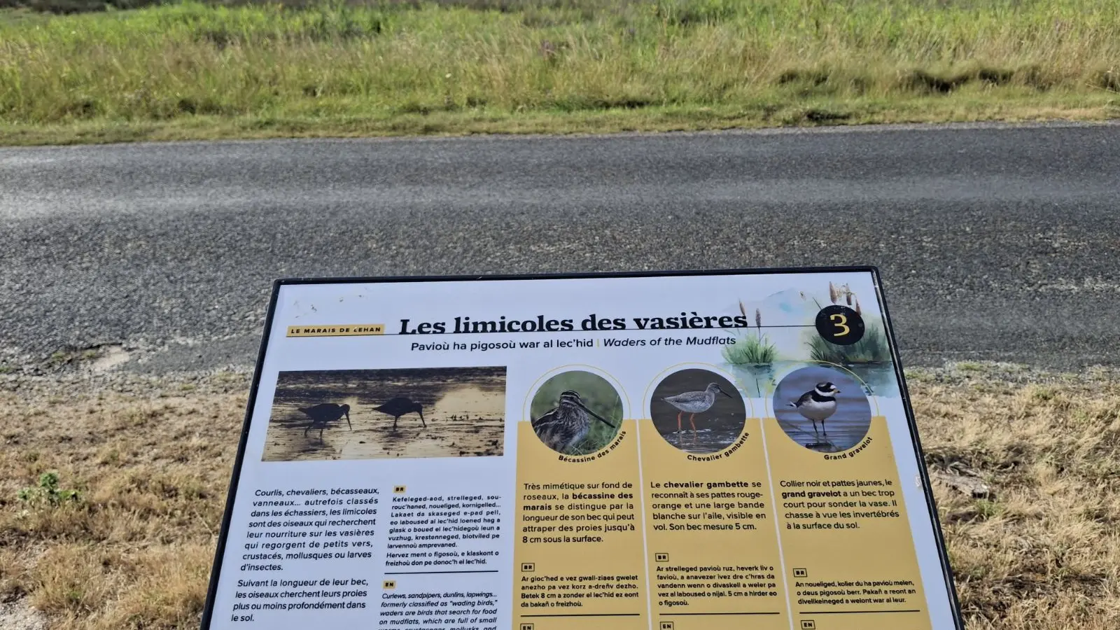 Circuit d'interprétation de Treffiagat - Treffiagat - Pays bigouden