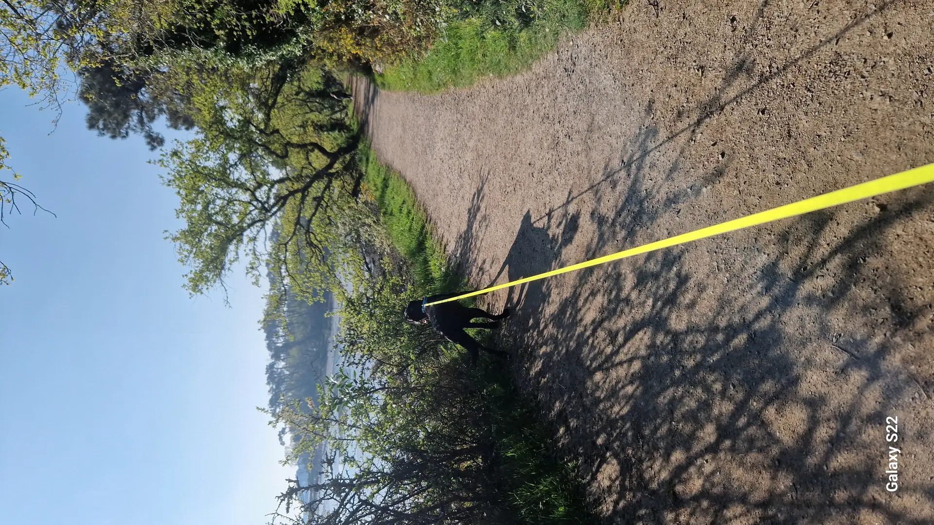 Pet sitter labellisé