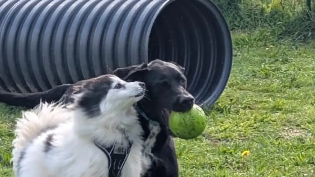 Apprentissages par le jeu