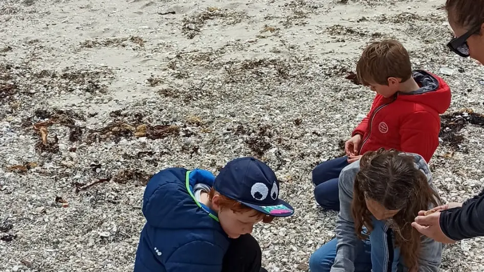 Activités extérieures