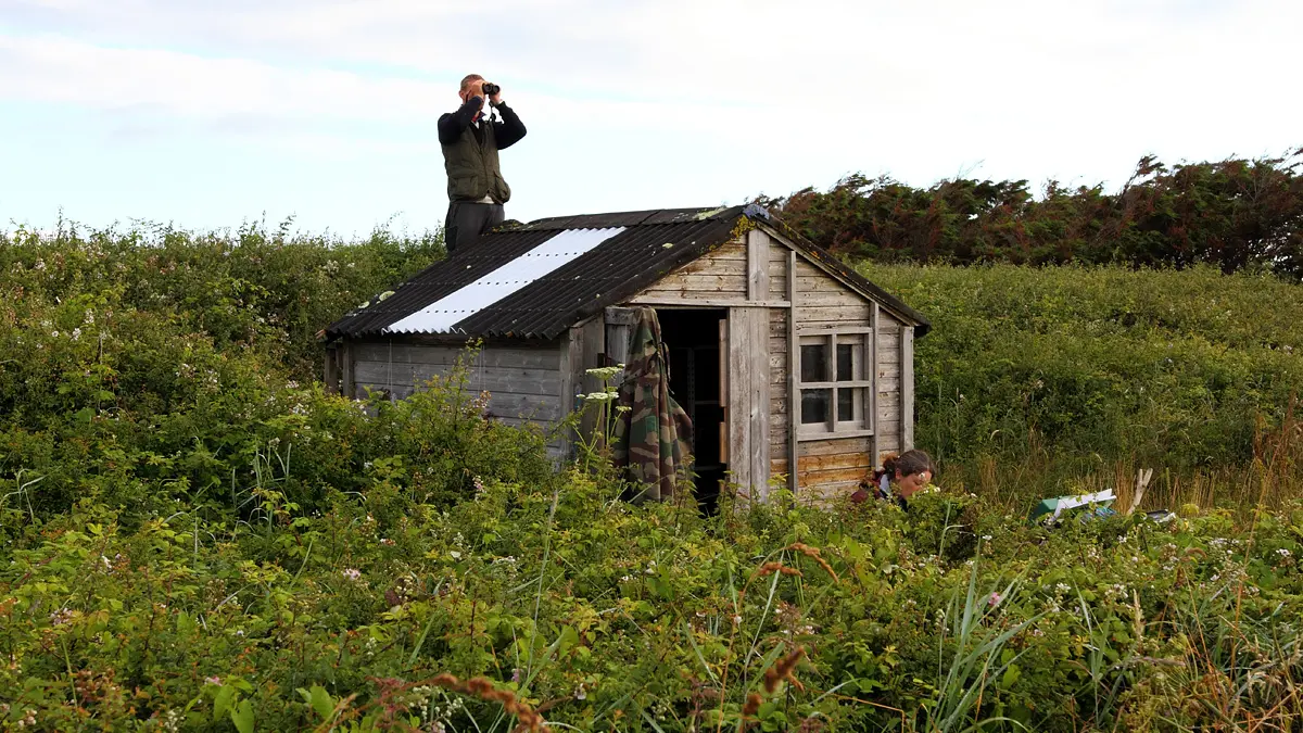 Circuit les étangs de Languidou - Plovan - Pays Bigouden