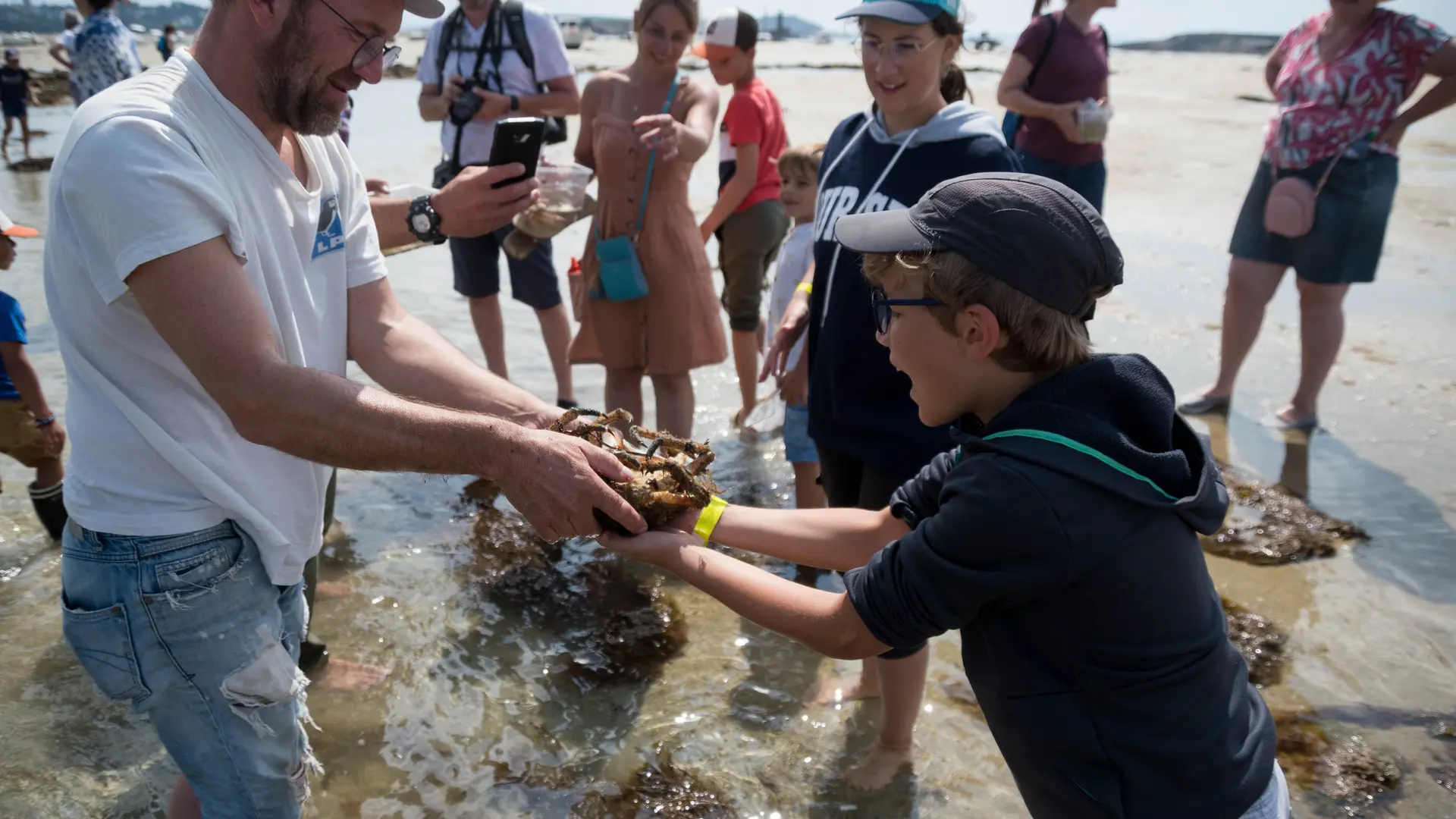 Sortie à marée basse