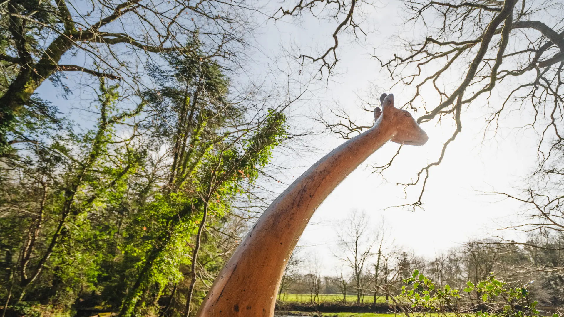 Sculpture Girafe