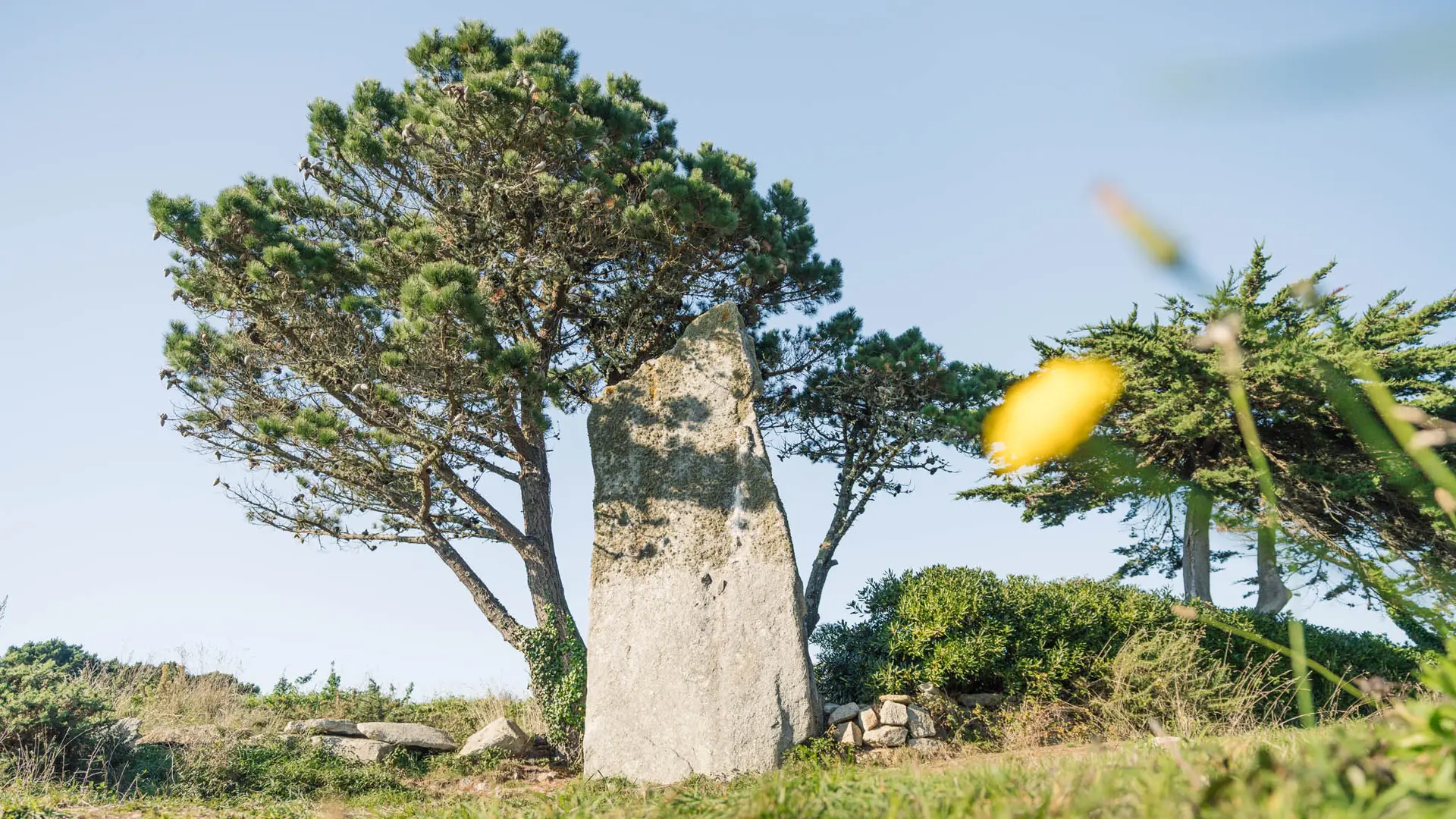 Menhir du Reun à Treffiagat