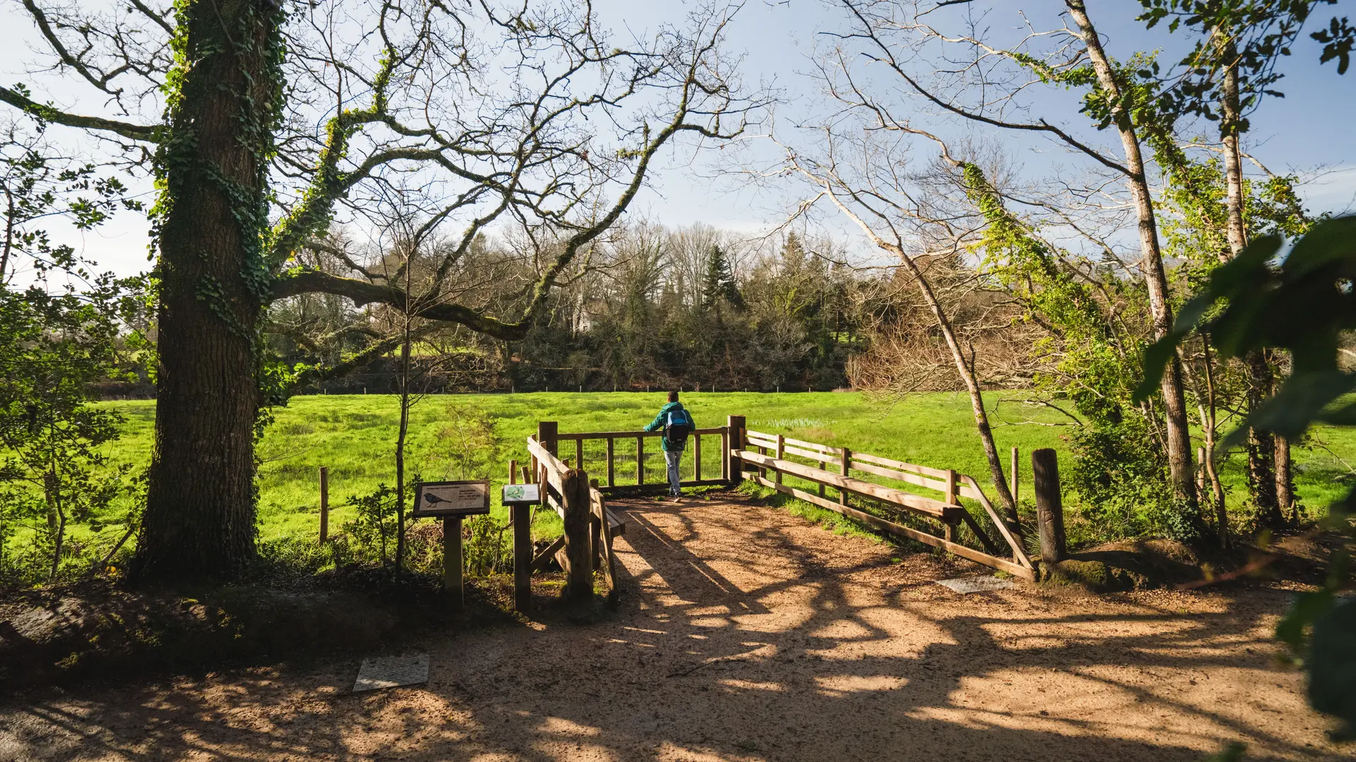 Le Bois de Penfoulic