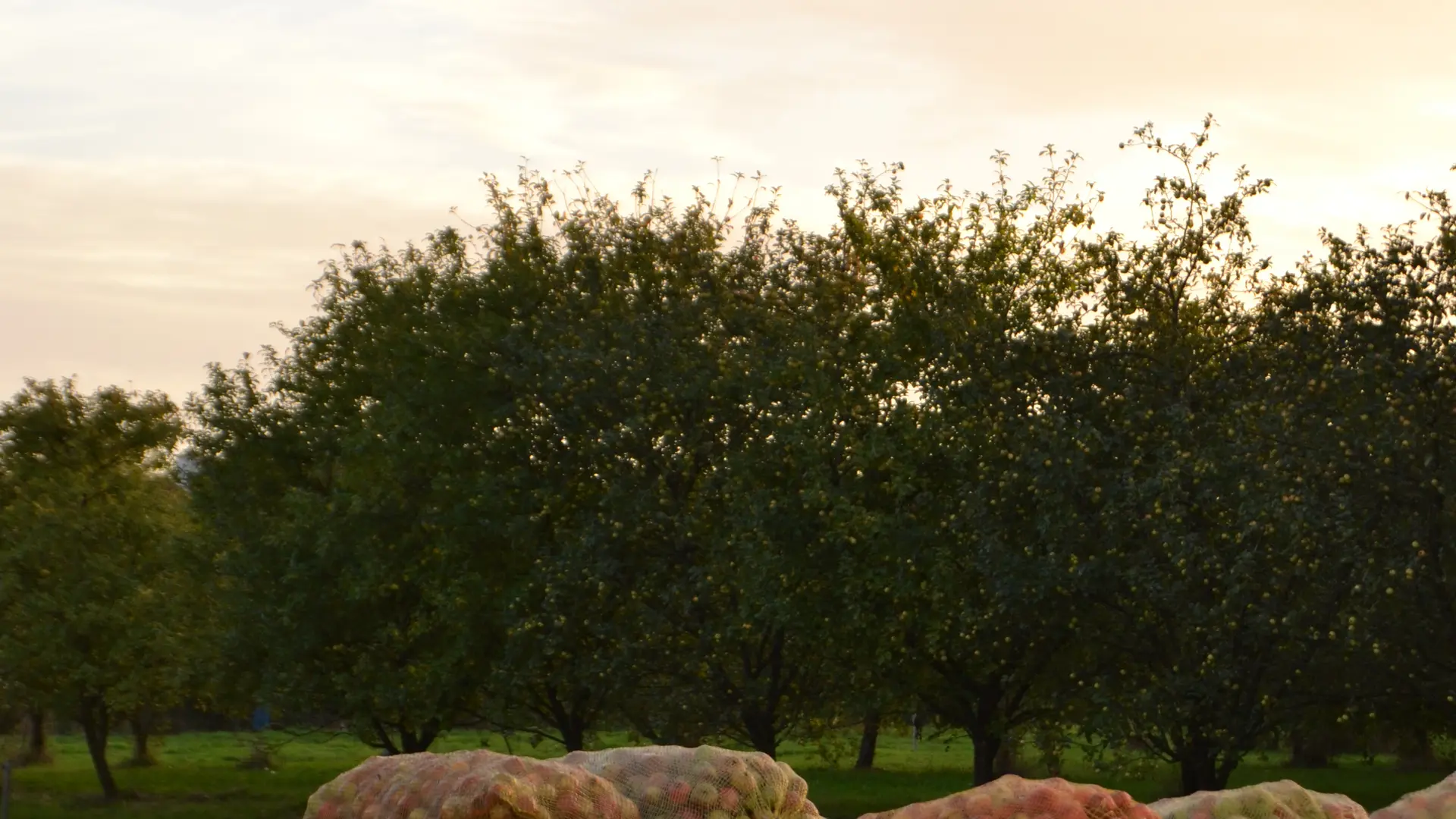 Cidrerie de Ménez Brug