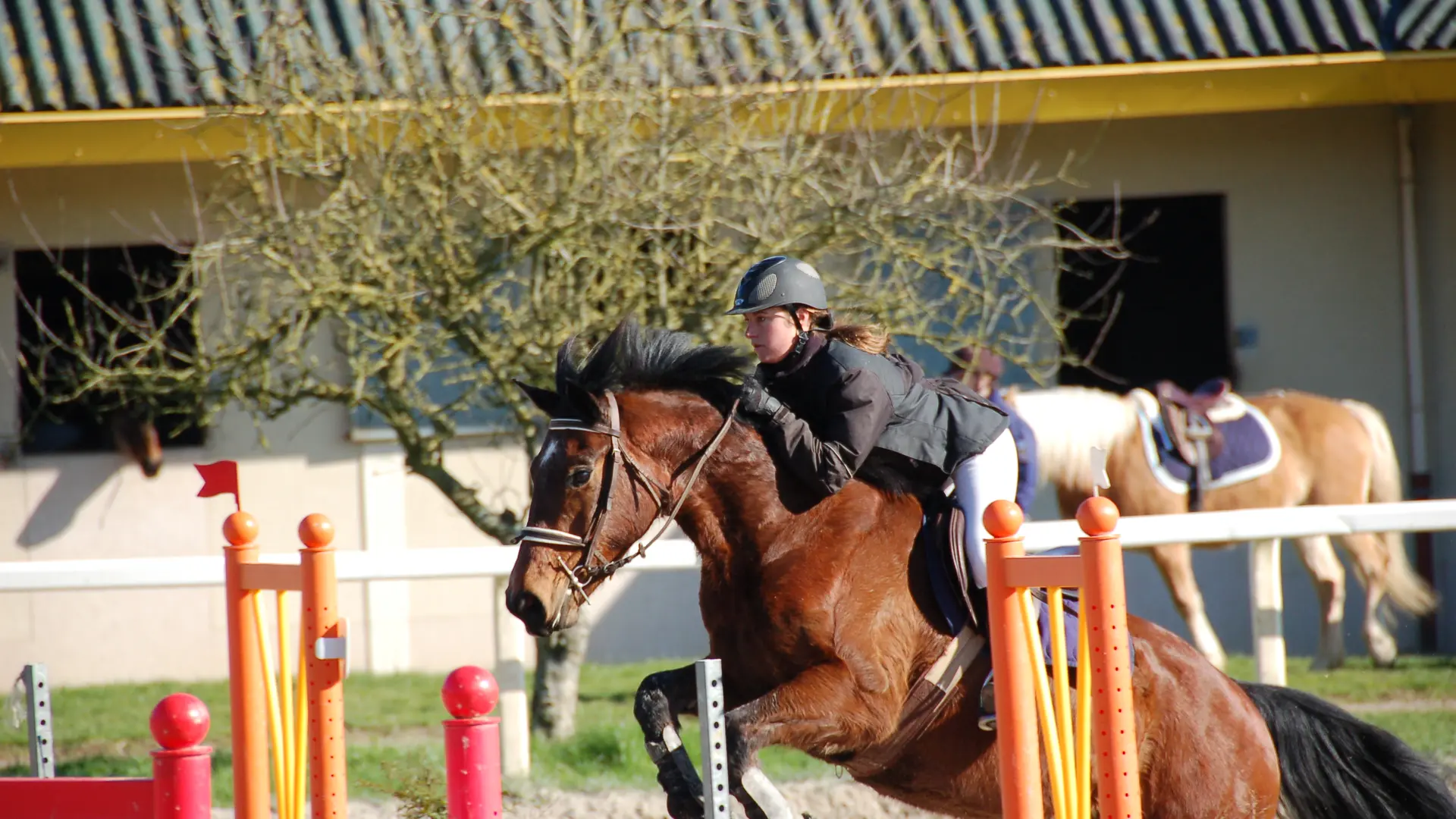 Poney Club de Lanvéron