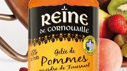 Vergers de kiwi du Cap-Coz